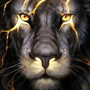 Meet your Posher, King